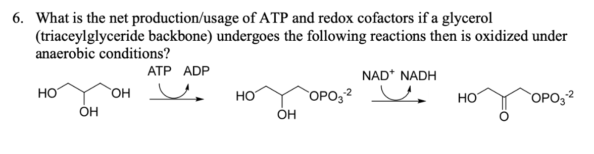 Solved What is the net production/usage of ATP and redox | Chegg.com