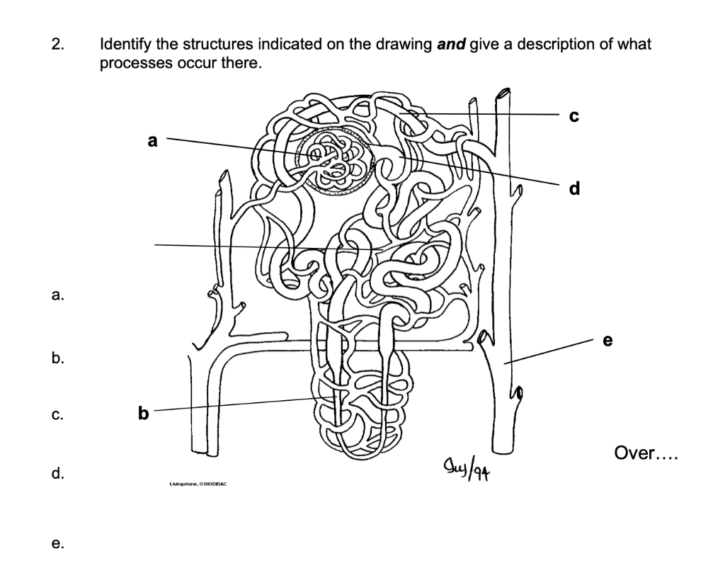 Solved 2. Identify the structures indicated on the drawing | Chegg.com