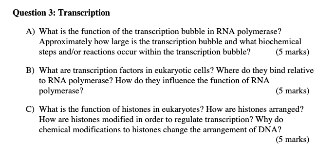 Question 3: Transcription A) What is the function of the transcription bubble in RNA polymerase? Approximately how large is t