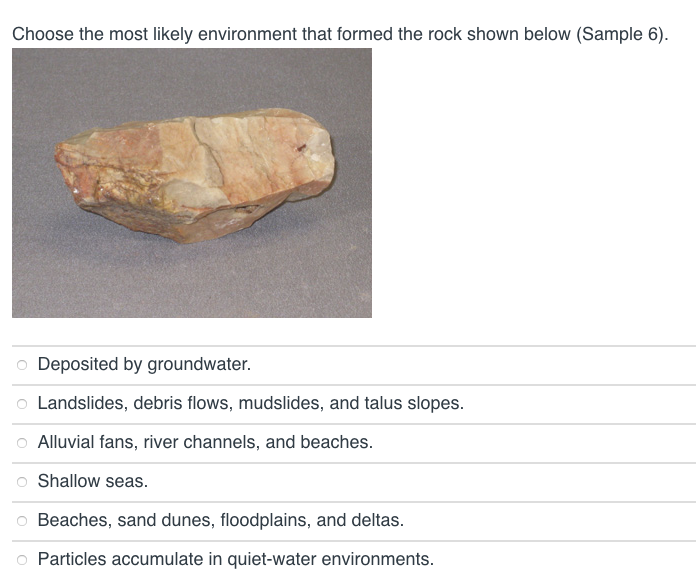 Solved Choose the most likely environment that formed the