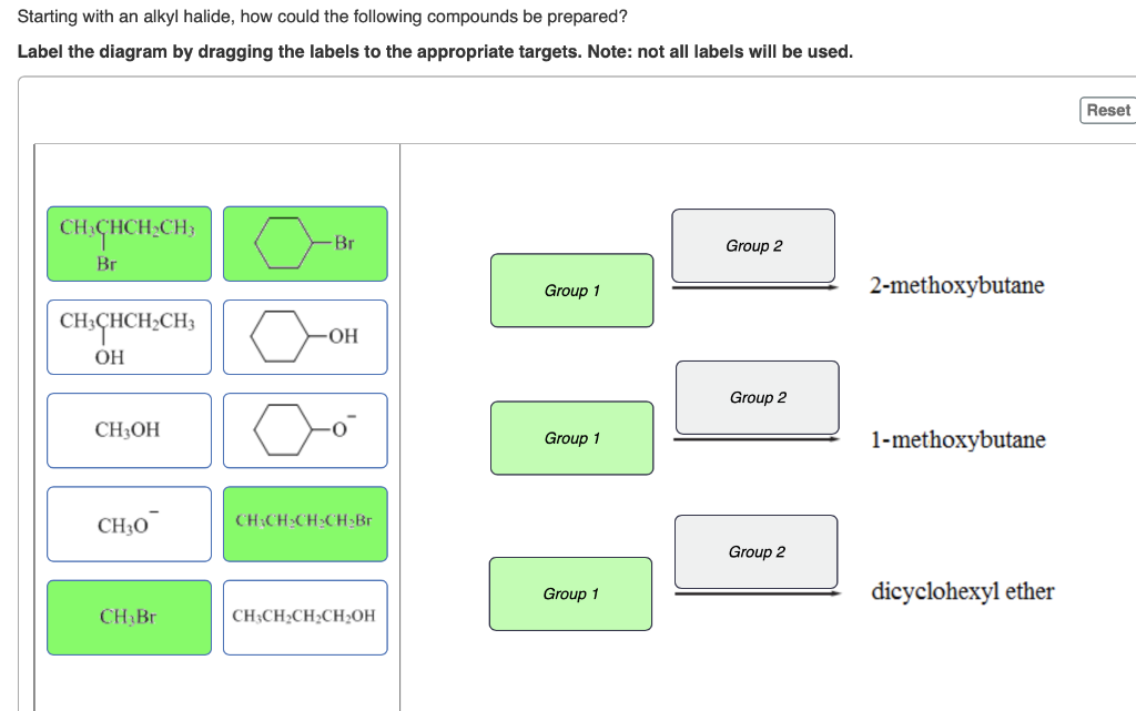 Solved Indicate whether the following alkyl halide will form | Chegg.com