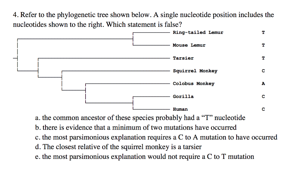 Solved 4. Refer to the phylogenetic tree shown below. A | Chegg.com