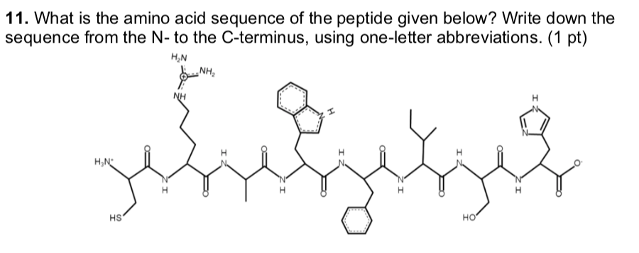 Solved What is the amino acid sequence of the peptide given | Chegg.com