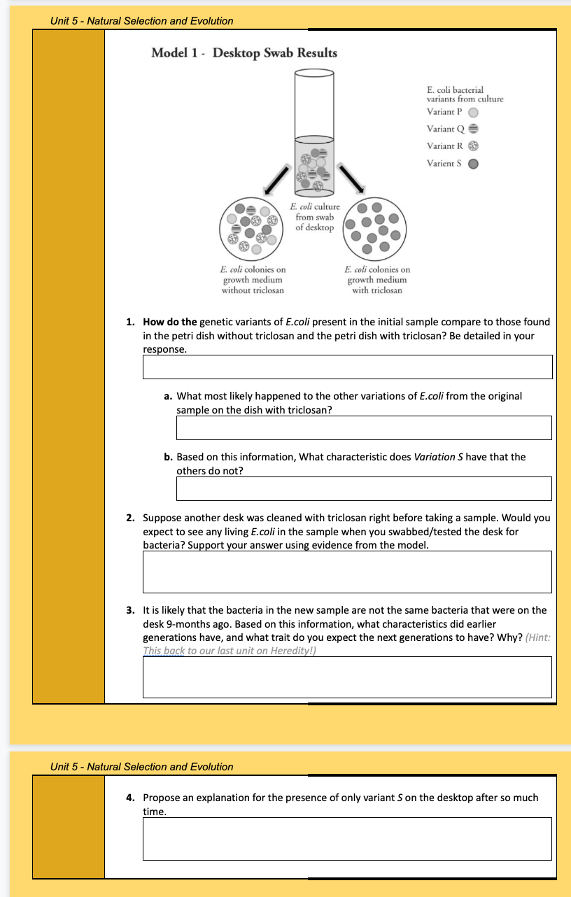Unit 5 Natural Selection and Evolution Model 1