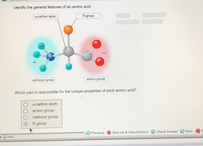 Solved identify the general features of an amino acid. | Chegg.com