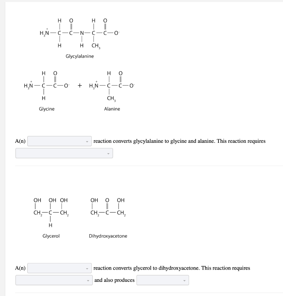 Solved For each pair of biomolecules, identify the type of