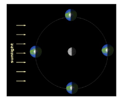 Solved If the roles of Earth and the moon were reversed, | Chegg.com