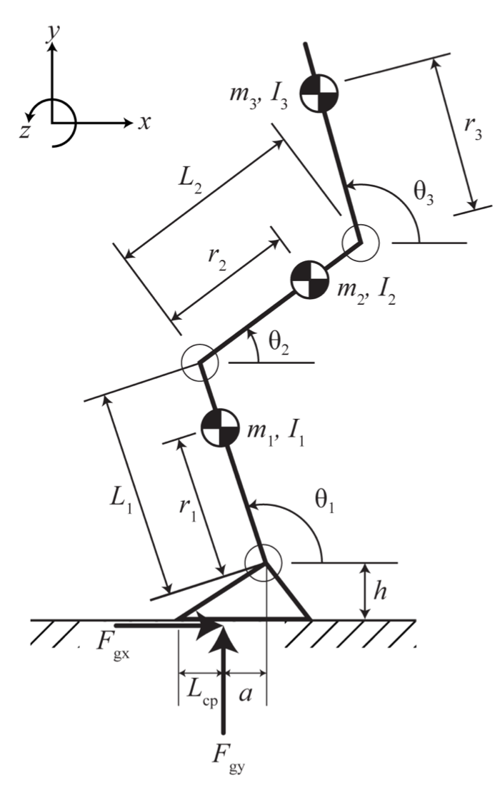 Solved Using a high speed video camera, the lab I work in | Chegg.com