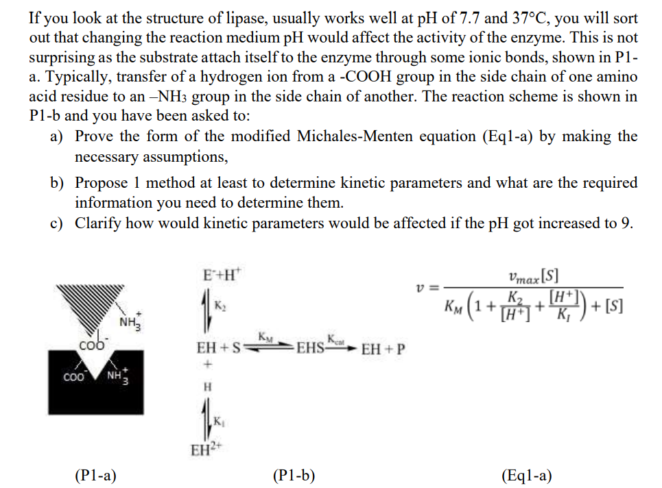 If you look at the structure of lipase, usually works well at pH of 7.7 and 37°C, you will sort out that changing the reactio