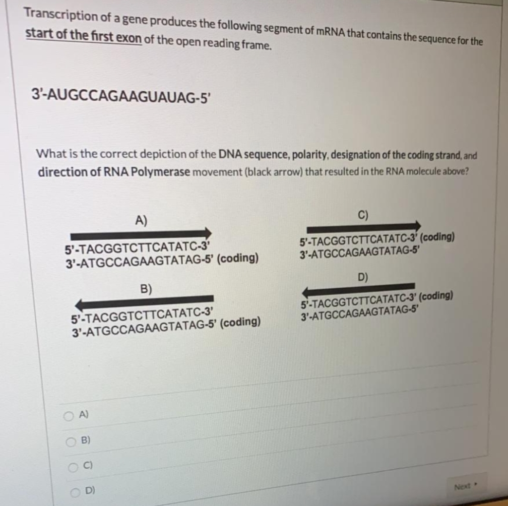 Solved Below is a segment of mRNA that contains the sequence | Chegg.com