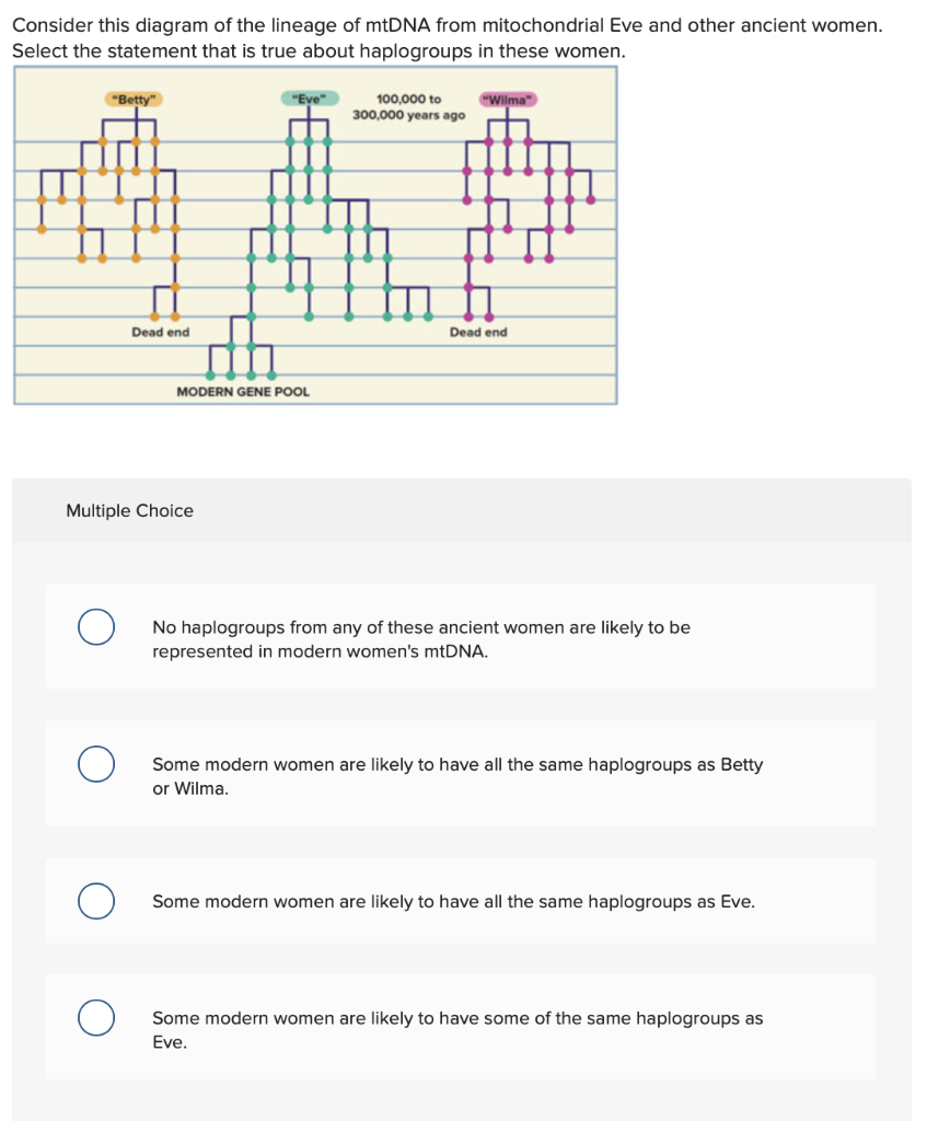 Consider this diagram of the lineage of mtDNA from mitochondrial Eve and other ancient women. Select the statement that is tr