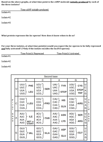 MB351 (001) Fall 2019 In addition to sequencing the | Chegg.com