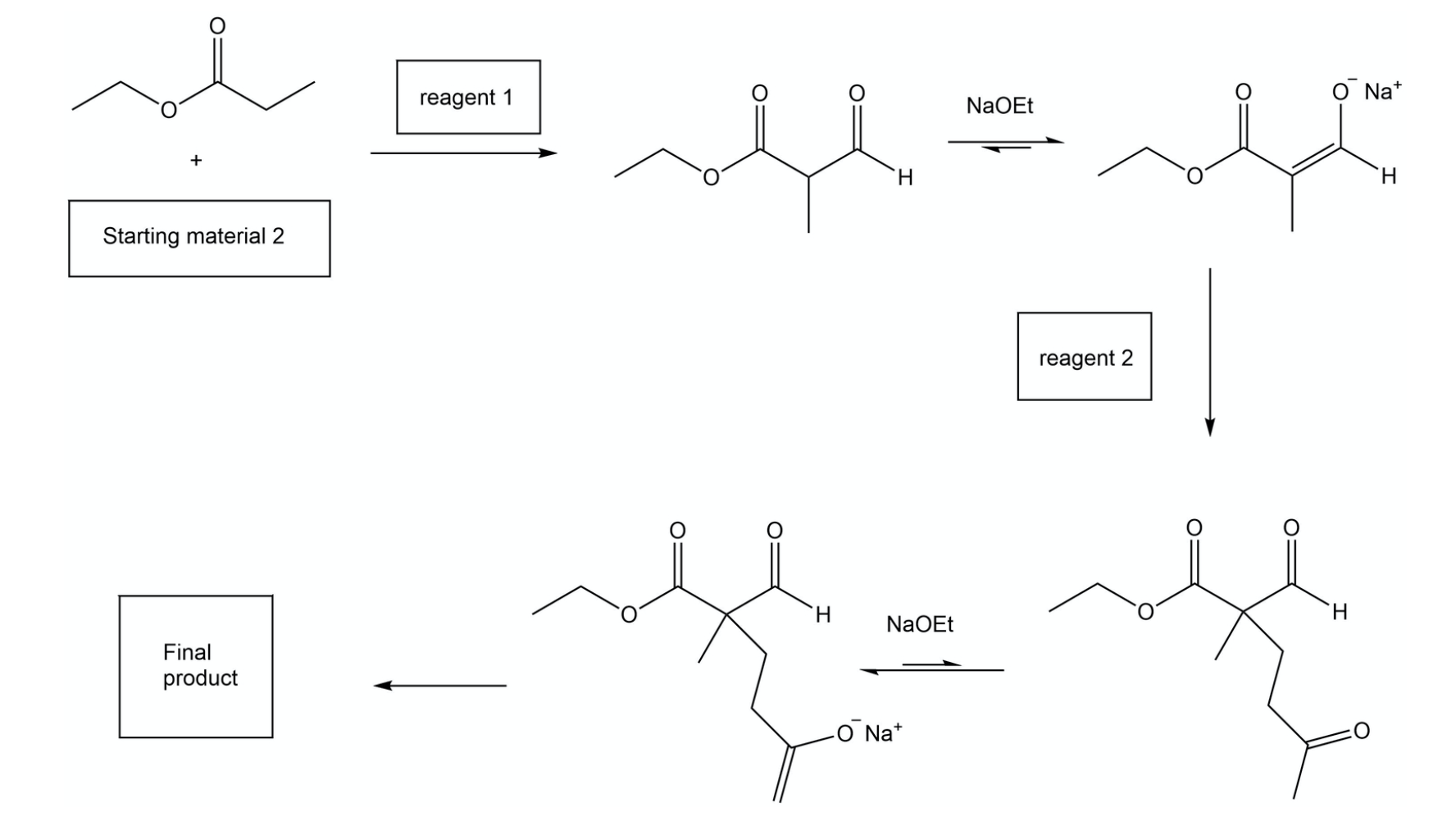 solved-provide-reagents-intermediates-and-the-final-chegg