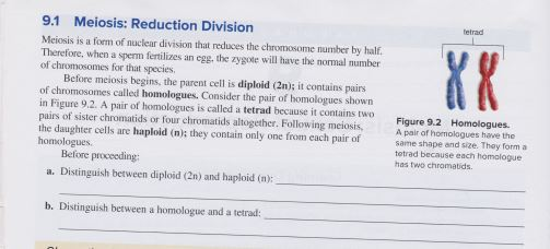 Solved tetrad 9.1 Meiosis: Reduction Division Meiosis is a | Chegg.com