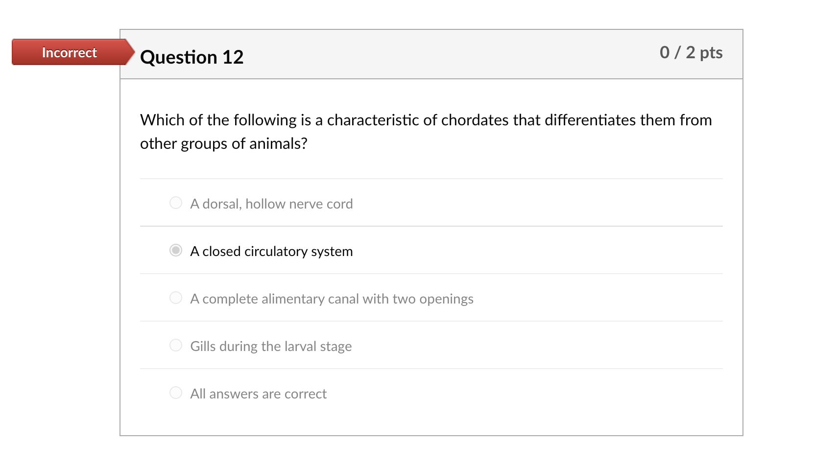 13-3-10-chordates-fish-birds-mammals-youtube