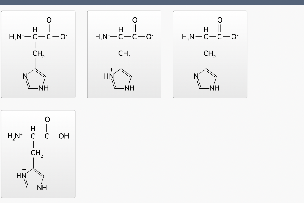 Solved Each ionizable group of an amino acid can exist in