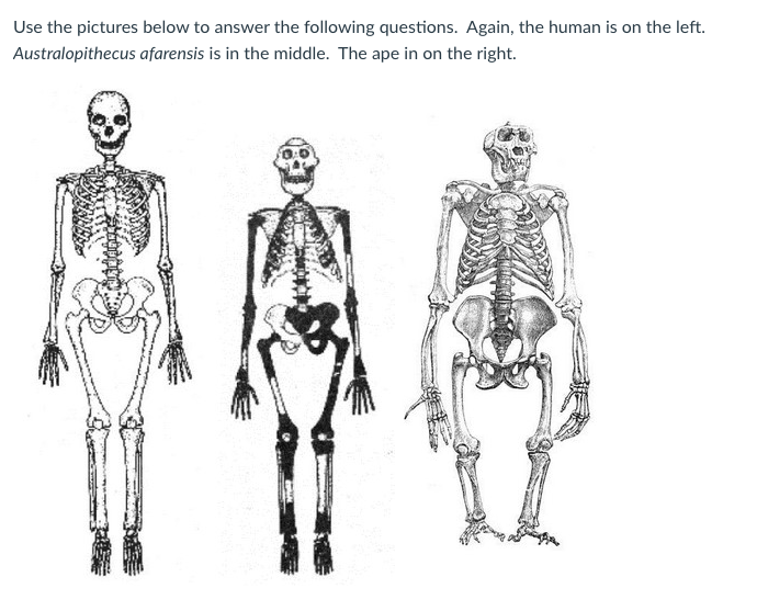 Use the pictures below to answer the following | Chegg.com