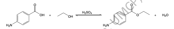 Synthesis of benzocaine, via the following reaction. | Chegg.com