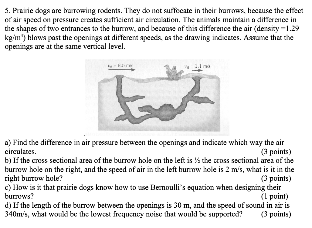 The principle of air circulation within a prairie dog burrow (applies