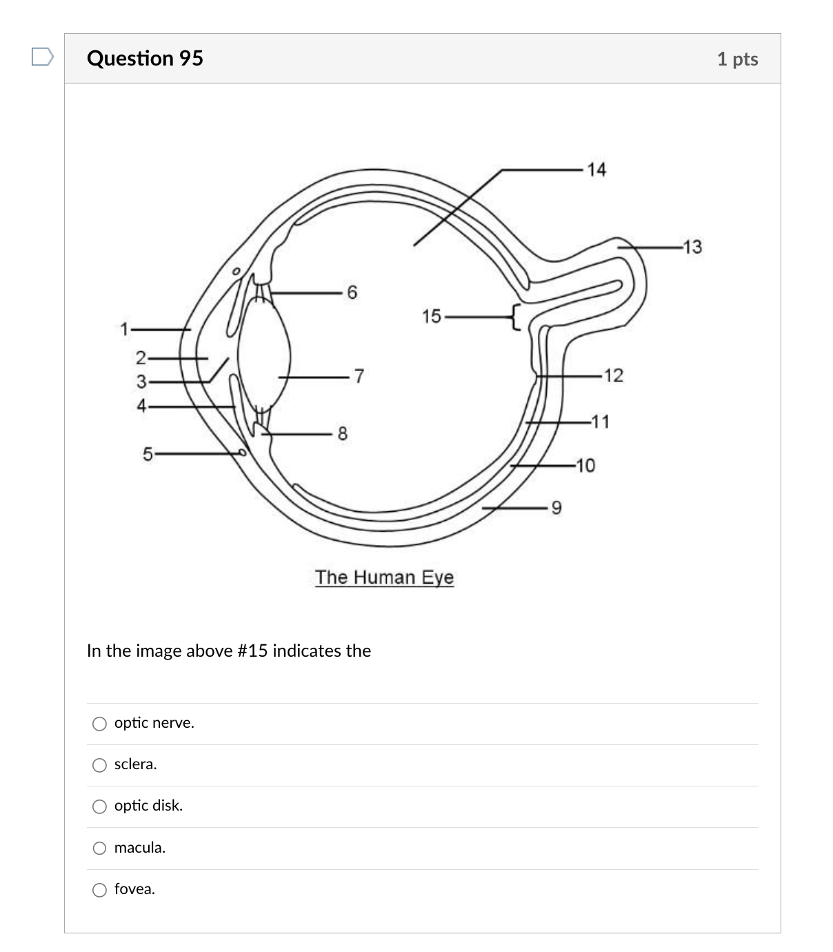 Solved In the image above \15 indicates the optic nerve.