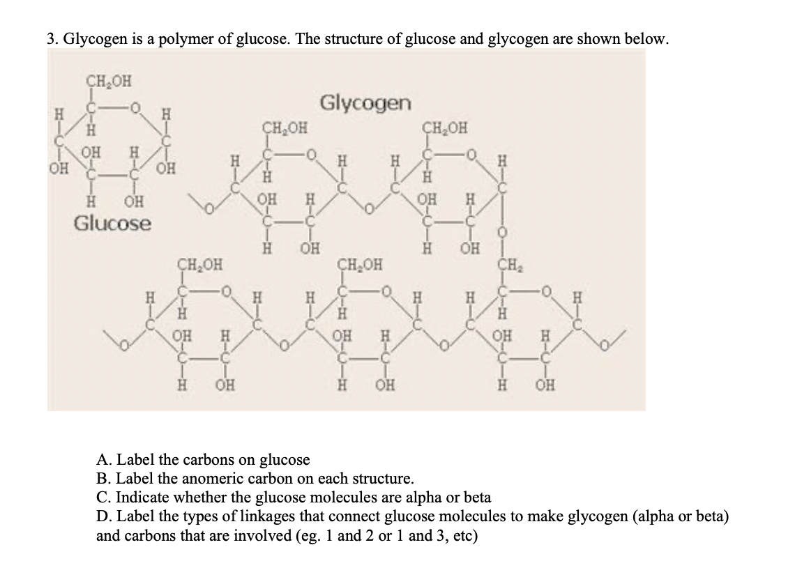 glycogen structure diagram