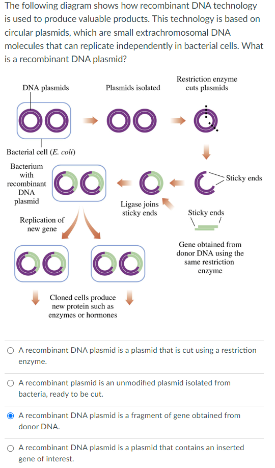 Solved The following diagram shows how DNA