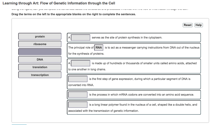 Solved Learning through Art Flow of Information