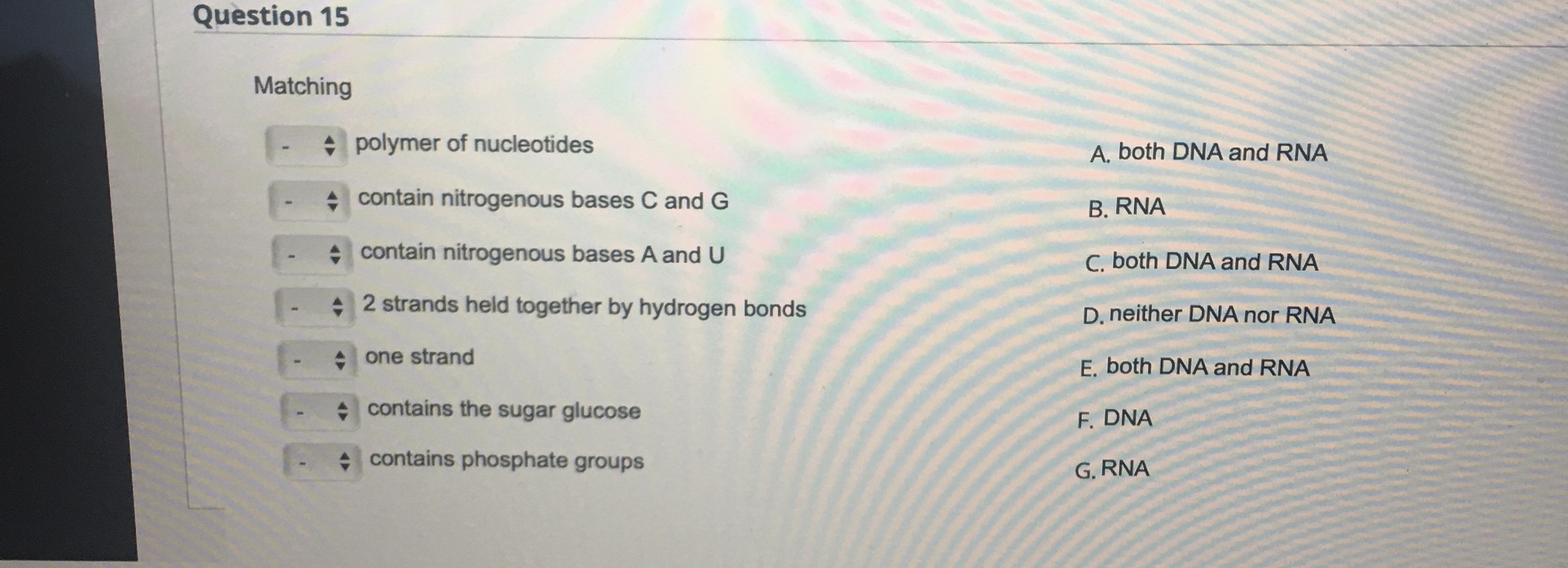 Matching polymer of nucleotides A. both DNA and RNA | Chegg.com