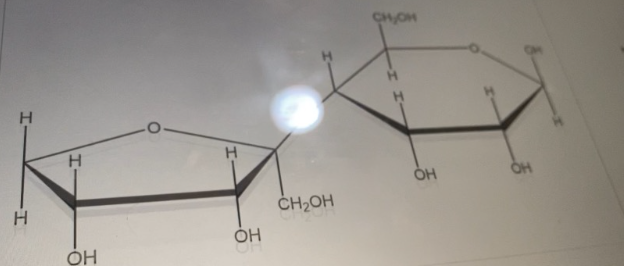 Solved CHON Н Н Н ОН ОН -I CHOH ОН ОН | Chegg.com