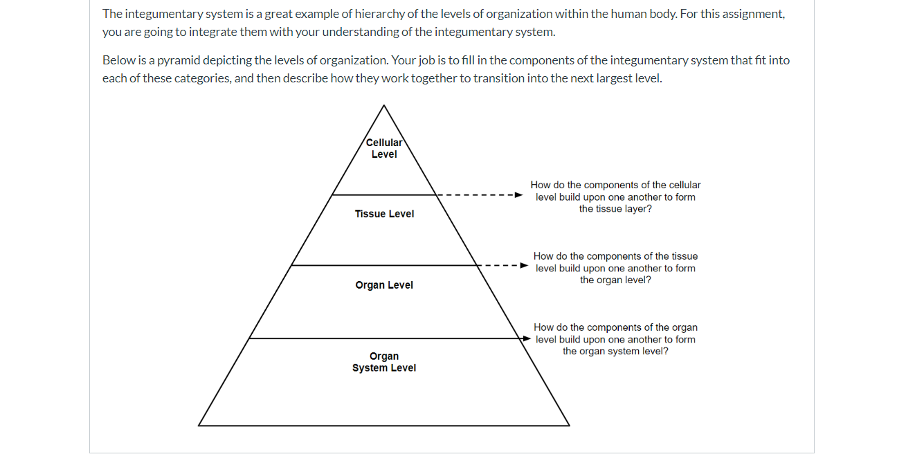 what-is-cellular-level-of-organisation-what-does-cellular-level