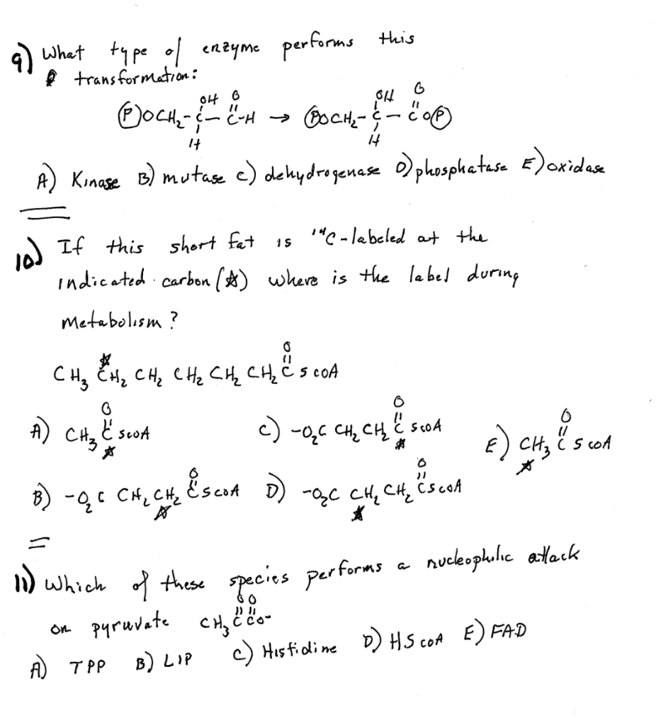 Solved q) What type of enzyme performs this a | Chegg.com