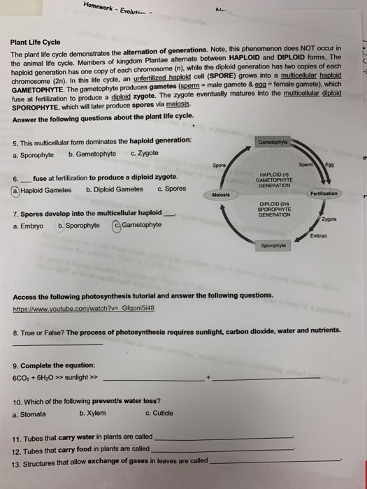 assignment 2 natural selection and evolution