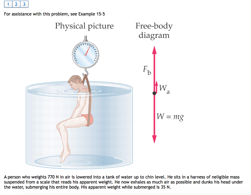 solved-1-what-is-total-net-force-on-the-man-when-he-is-chegg