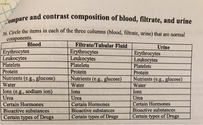 Normal Makeup Of Urine Saubhaya Makeup normal-makeup-of-urine-saubhaya-makeup