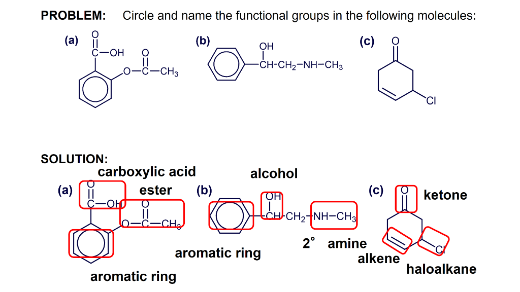 Solved RECOGNIZING FUNCTIONAL GROUPS Circle and name the | Chegg.com