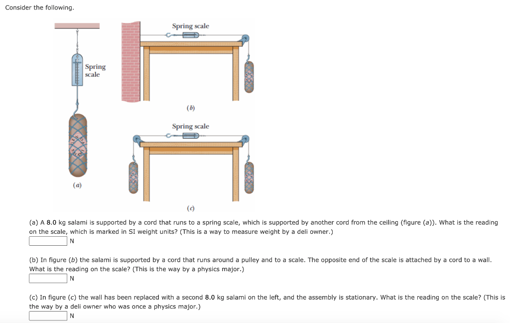 Solved Consider the following. Spring scale Spring scale (6) | Chegg.com