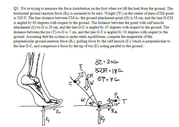 Solved Q1. We're trying to measure the force distribution on | Chegg.com