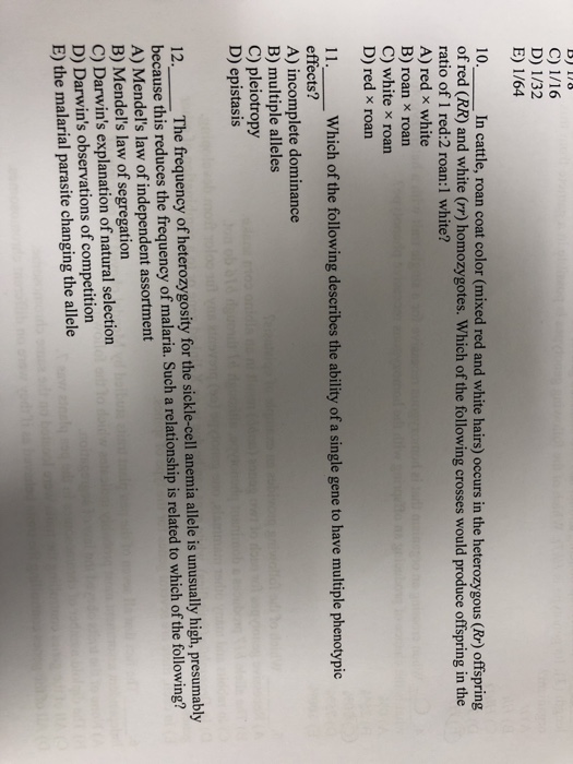 Solved C) 1/16 D) 1/32 E) 1/64 In cattle, roan coat color