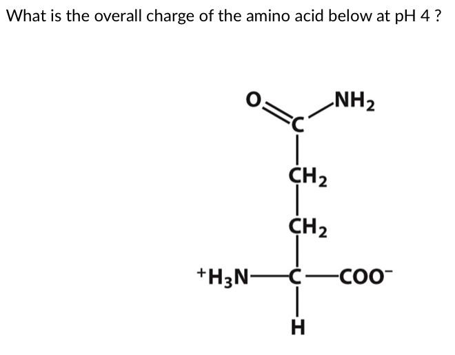 What is the overall charge of the amino acid below at | Chegg.com