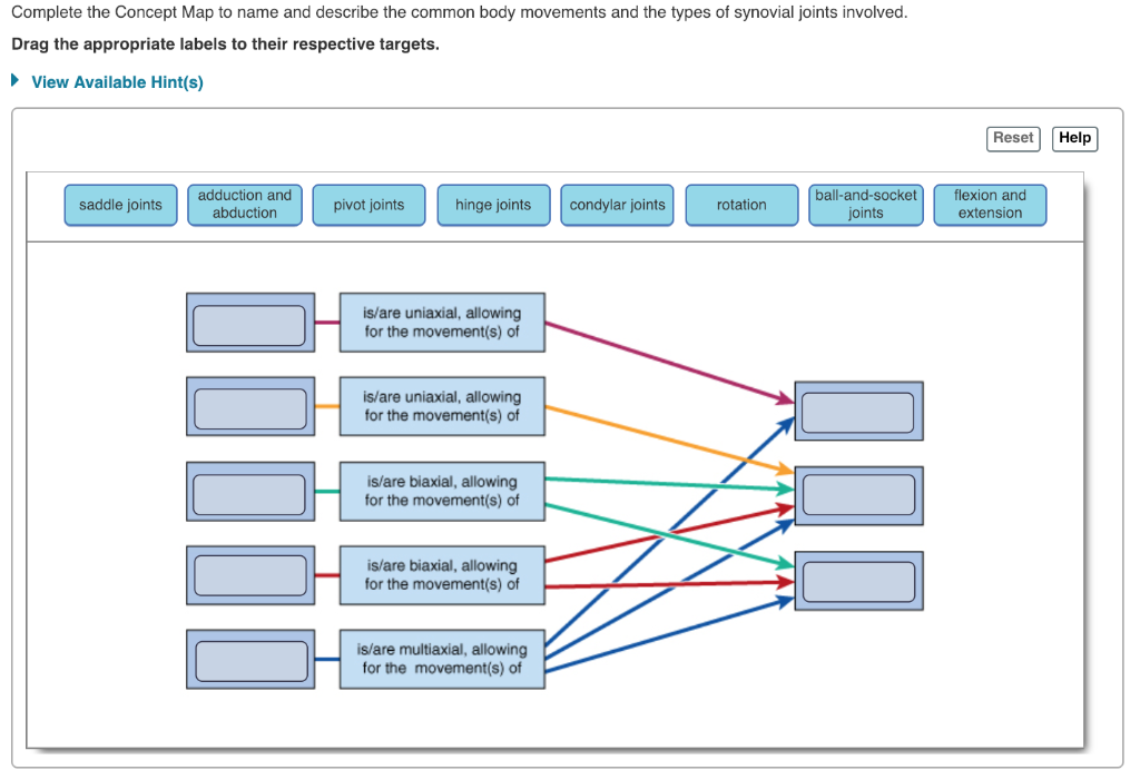 Concept Map Synovial Joint Movements - United States Map