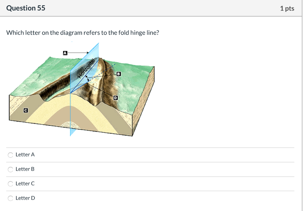 Solved Question 49 1 pts Which letter on the diagram refers | Chegg.com