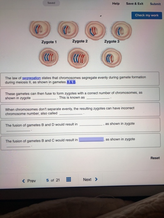 solved-saved-help-save-exit-submit-check-my-work-zygote-1-chegg