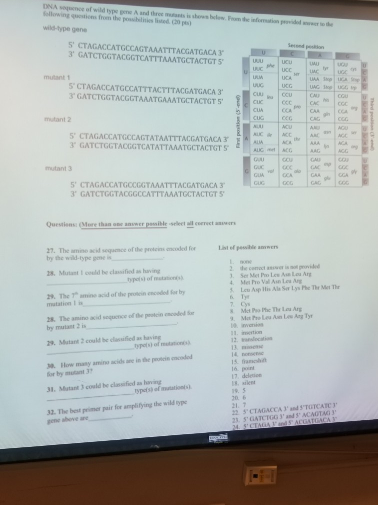 Solved sequence of wild type gene A and three mutants is | Chegg.com