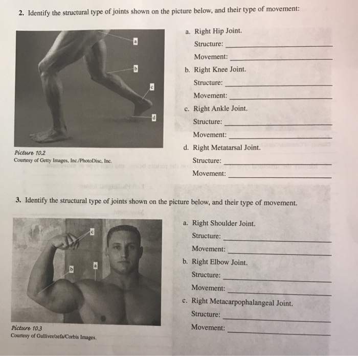 Solved 2. Identify the structural type of joints shown on | Chegg.com