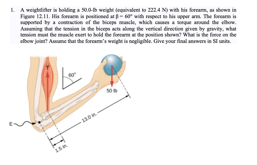 Solved 1. A weightlifter is holding a 50.0-lb weight | Chegg.com