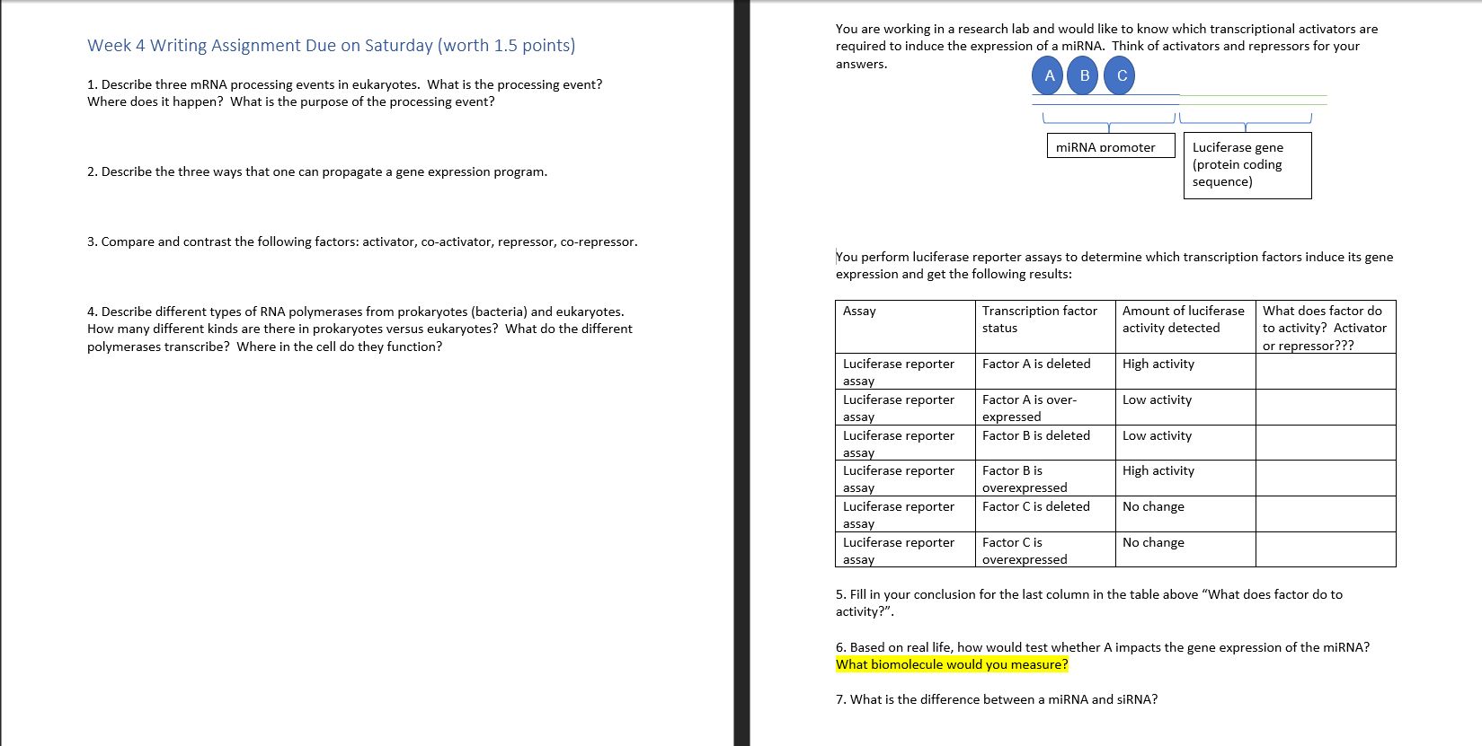 Reflection essay assignment image