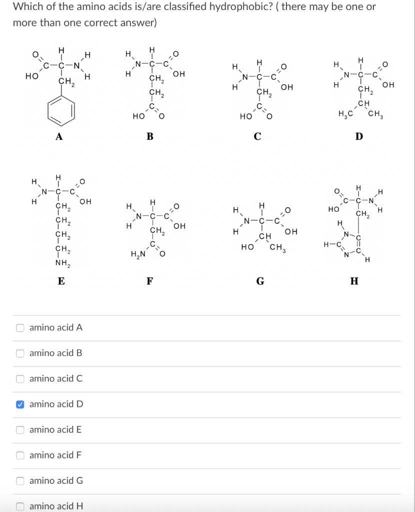 Solved Which of the amino acids is/are classified as | Chegg.com