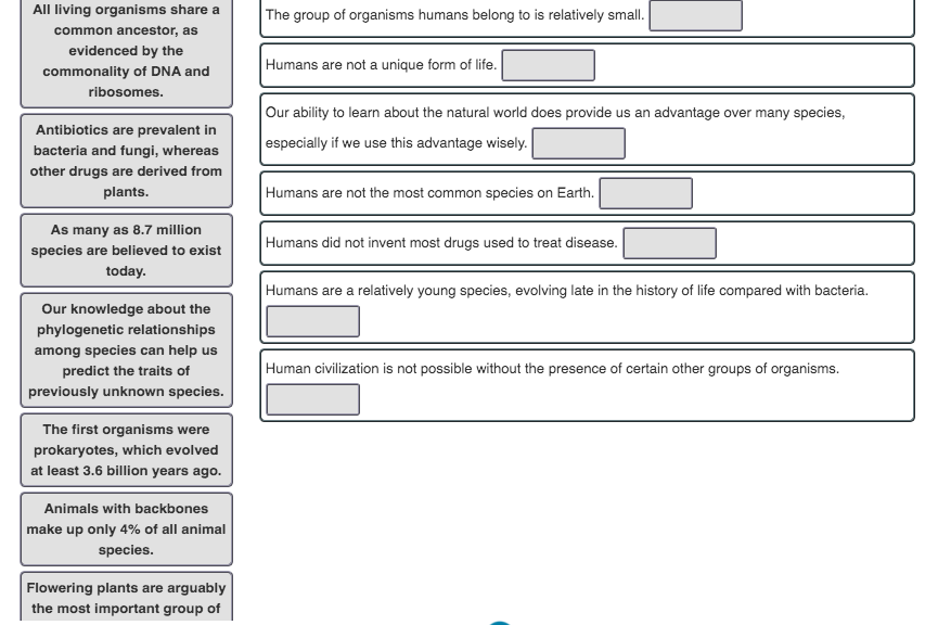 Solved The group of organisms humans belong to is relatively | Chegg.com