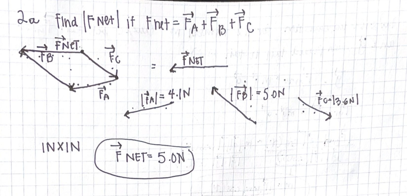 F Net – Fnet