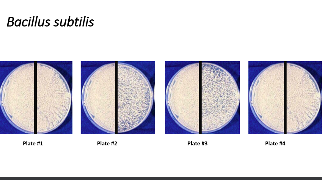 Solved UV light results. Fill in the chart. O = no growth | Chegg.com
